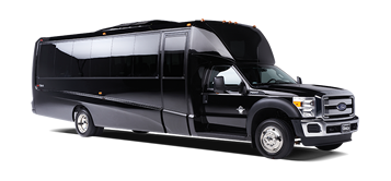Mini Coach